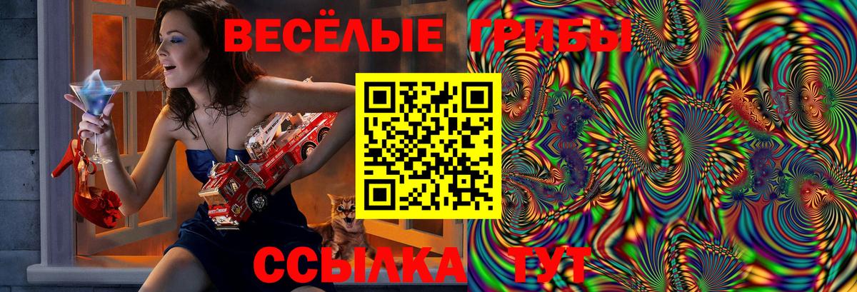 Псилоцибиновые грибы прущие грибы  Вход с VPN  Джанкой  Псилоцибиновые грибы Cubensis 