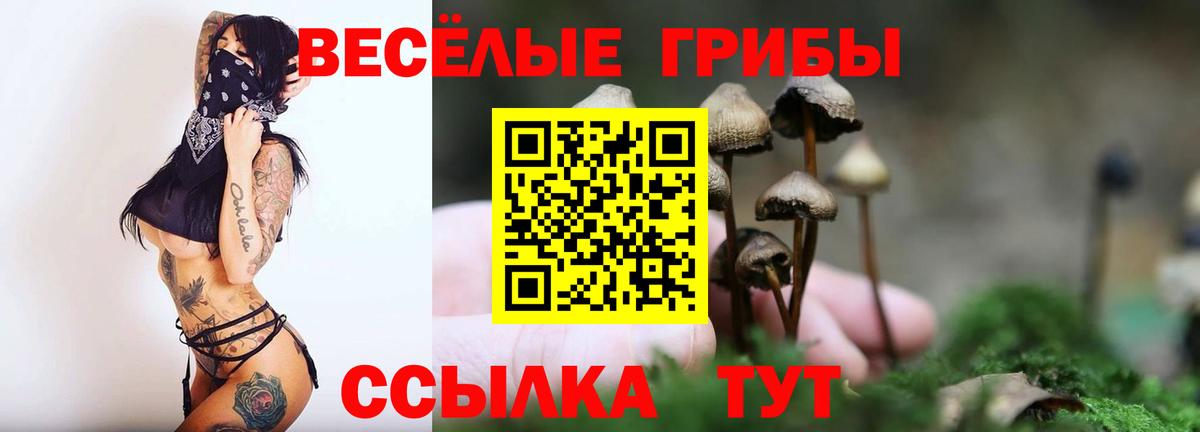 Псилоцибиновые грибы мицелий Джанкой
